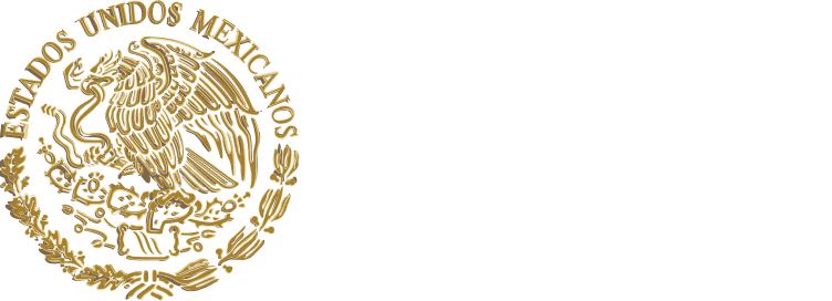 Logo Registro Civil México